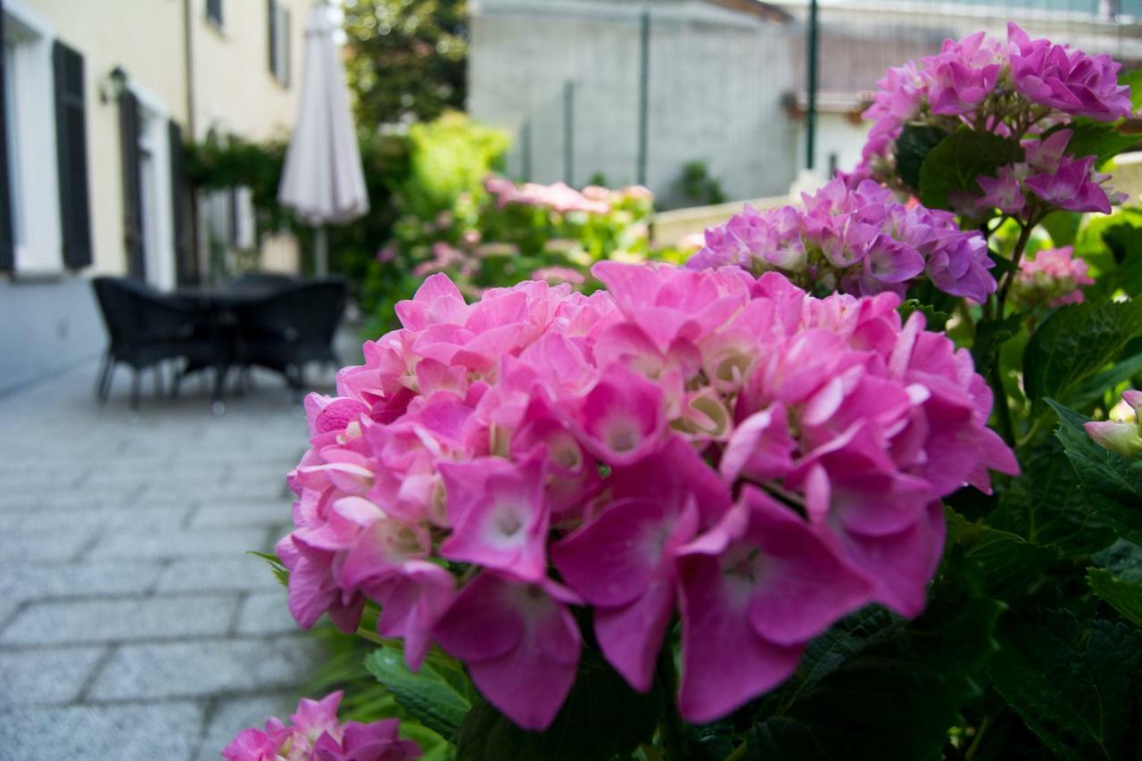 Giardino Delle Ortensie Каннобіо Екстер'єр фото